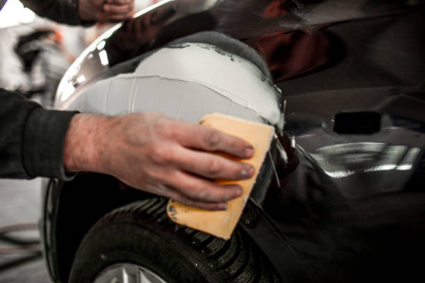 Gray, LA Mold Removal Company