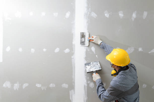Mold Odor Removal Services in Gray, LA
