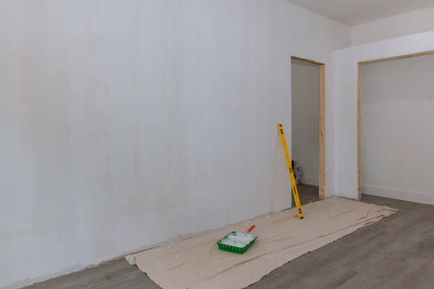 Best Mold Damage Restoration  in Gray, LA