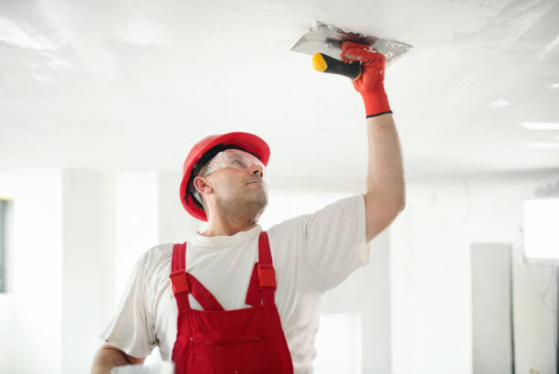 Best Mold Documentation for Insurance Claims  in Gray, LA