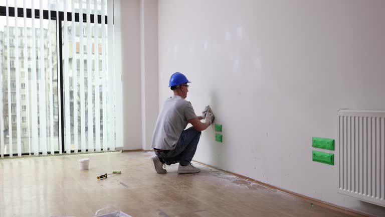 Best Basement Mold Removal  in Gray, LA