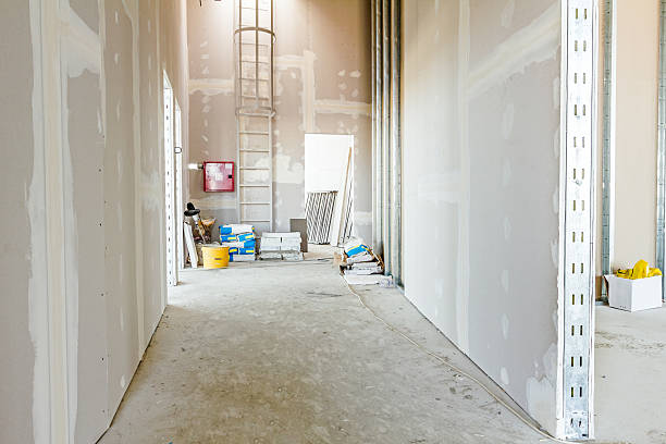  Gray, LA Mold Removal Pros
