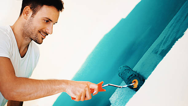 Best Mold Odor Removal Services  in Gray, LA