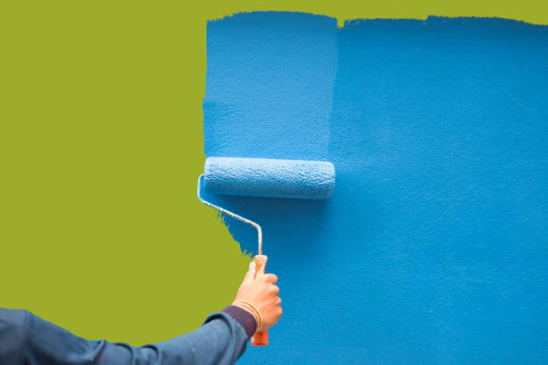 Forensic Mold Investigation in Gray, LA